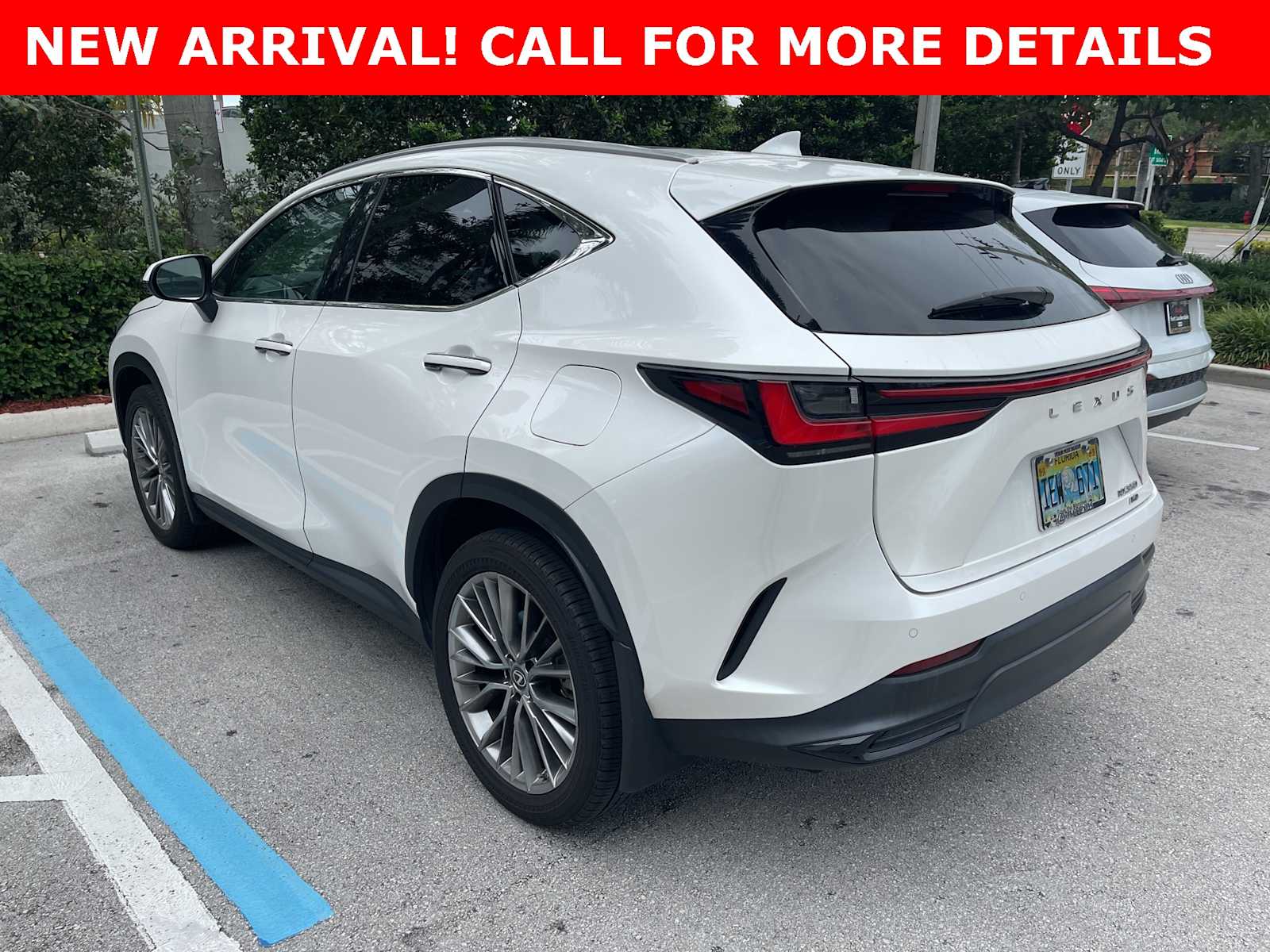 2022 Lexus NX  3