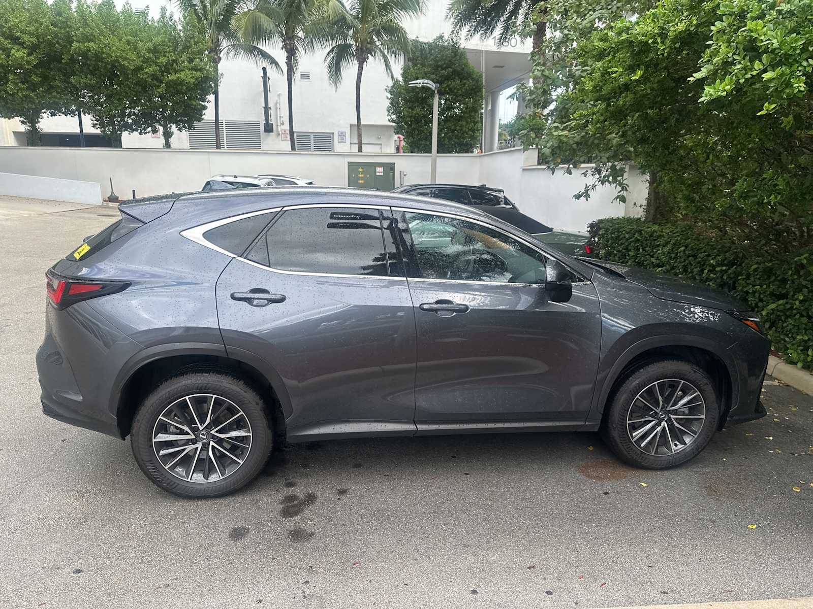 Thumbnail: 2024 Lexus NX - 2