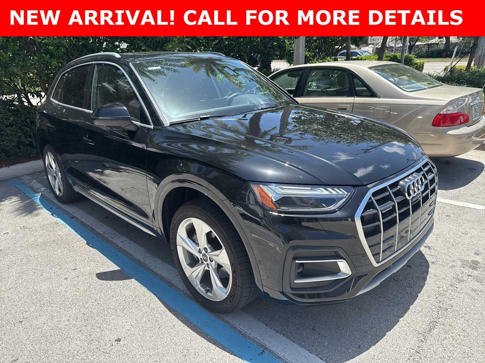 Thumbnail: 2021 Audi Q5 - 2