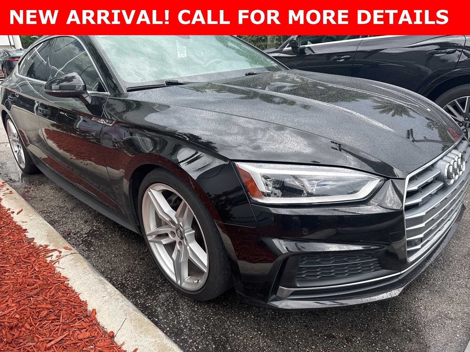 Thumbnail: 2019 Audi A5 - 2
