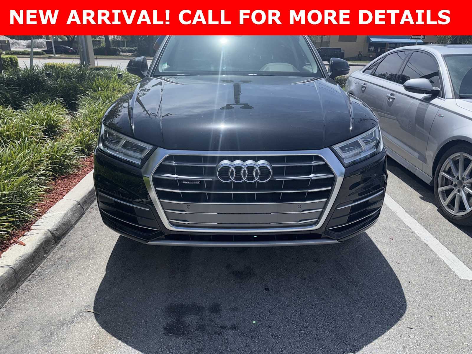 Thumbnail: 2019 Audi Q5 - 1
