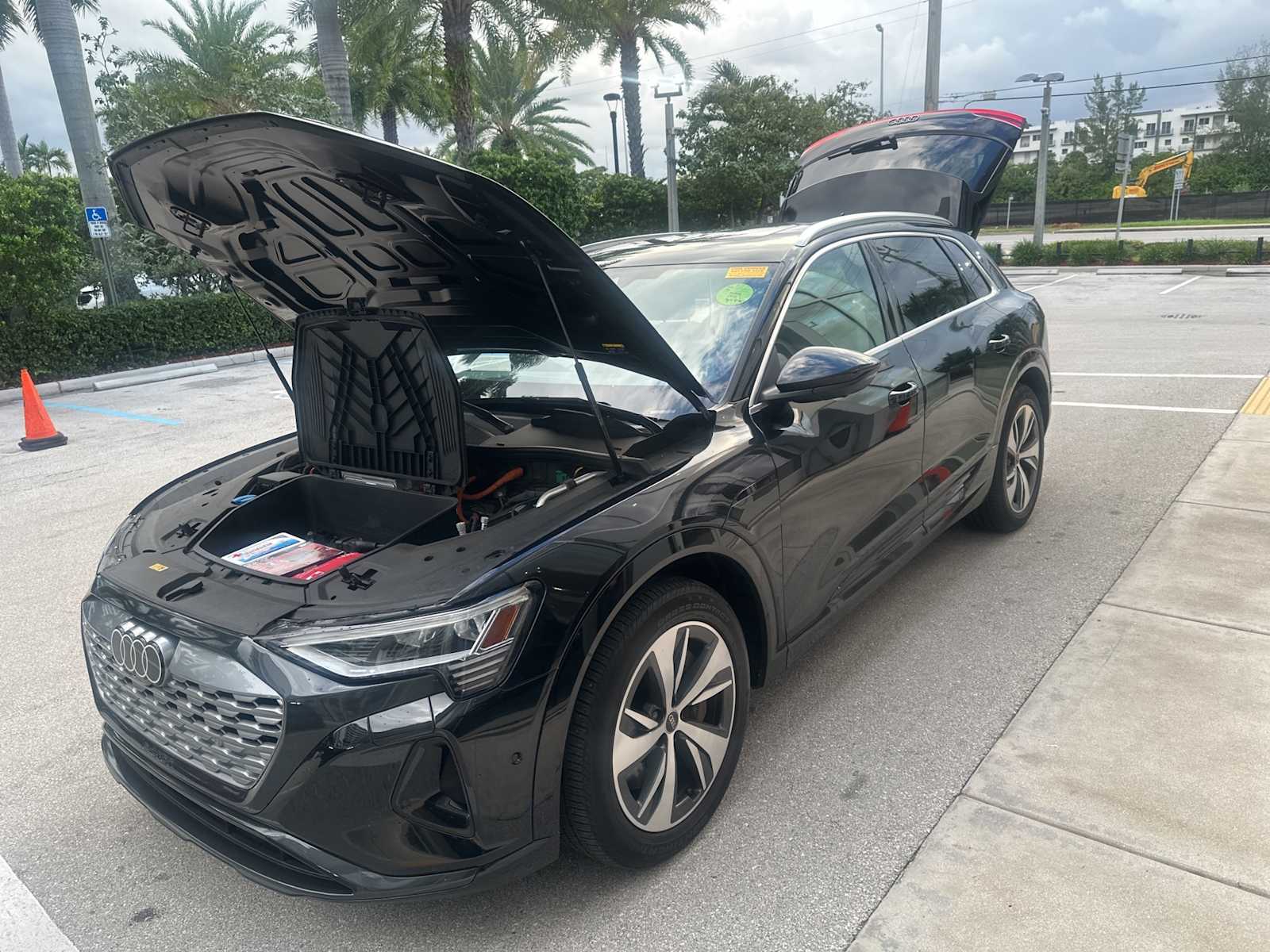 Thumbnail: 2024 Audi Q8 e-tron - 1