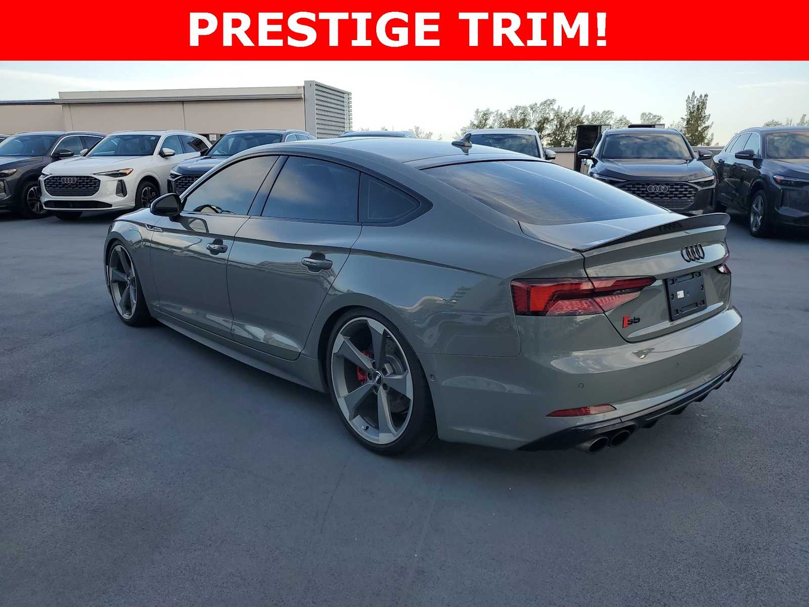 Thumbnail: 2019 Audi S5 - 4