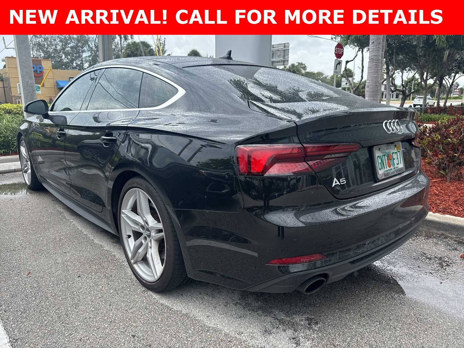 Thumbnail: 2019 Audi A5 - 3