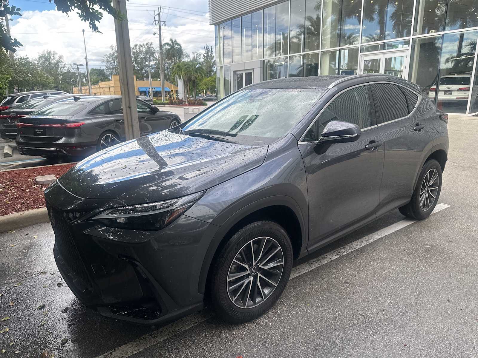 Thumbnail: 2024 Lexus NX - 1