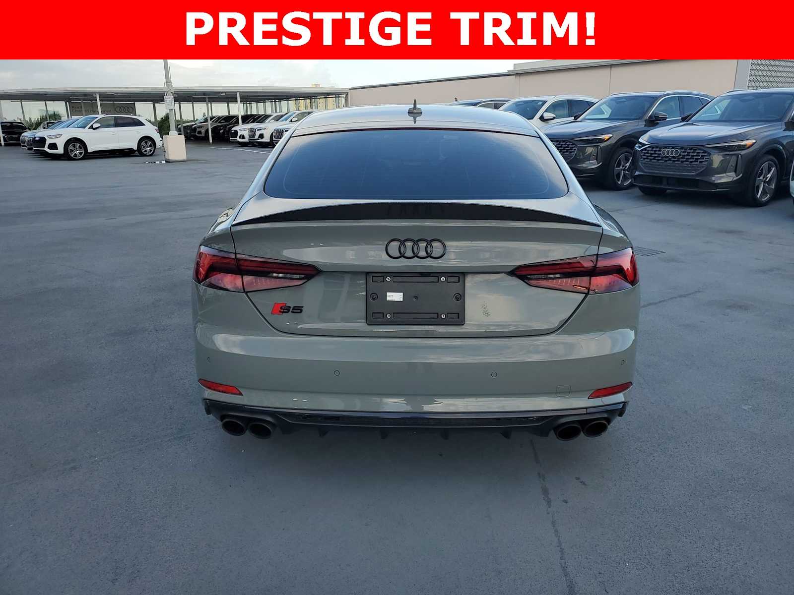 Thumbnail: 2019 Audi S5 - 5