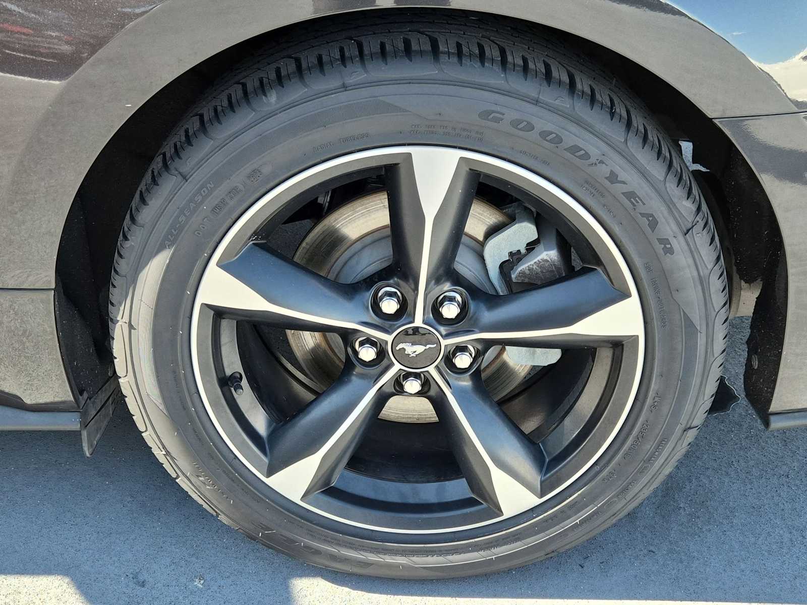 Thumbnail: 2025 Audi A5 - 11