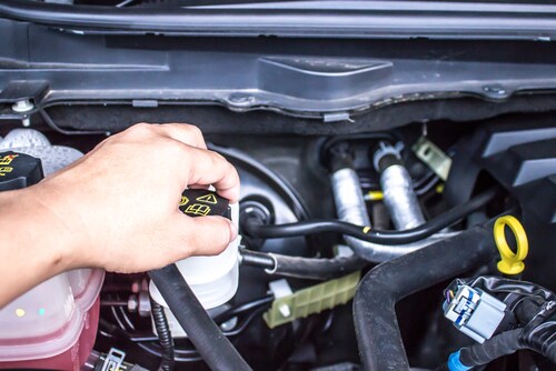 Jetta on sale transmission fluid