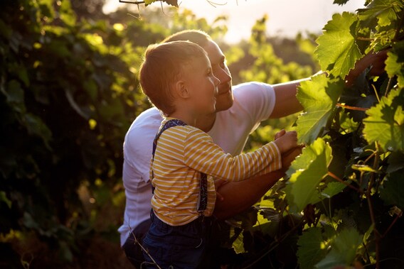 Tomasello Winery Garden State Wine Growers Association