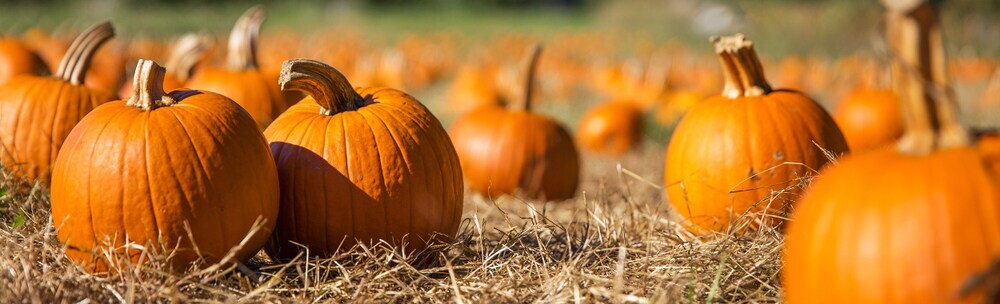 Red Wagon Farm Market image 1