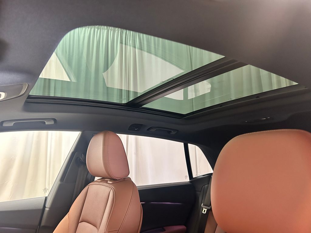 2026 Audi Q8 Premium Plus - Photo 19