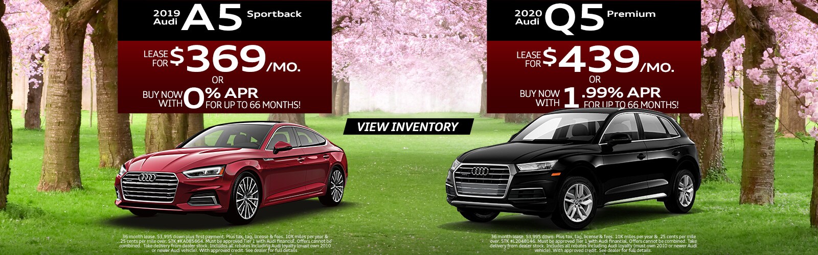 Audi Orange Park New Amp Used Audi Dealer In Jacksonville