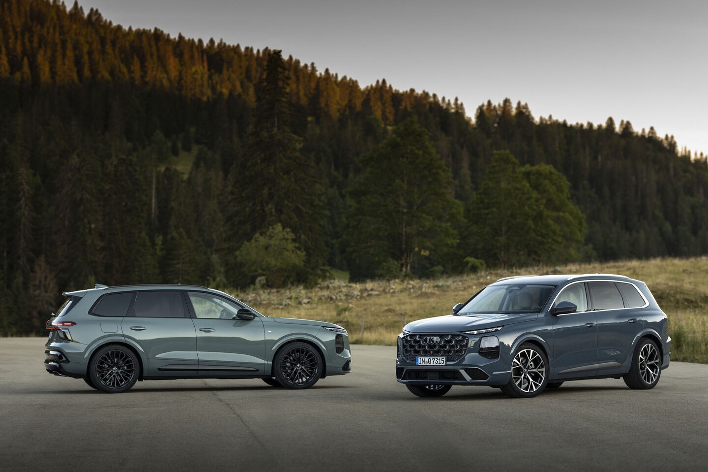 Two Audi Q7SUVs parked near the woods