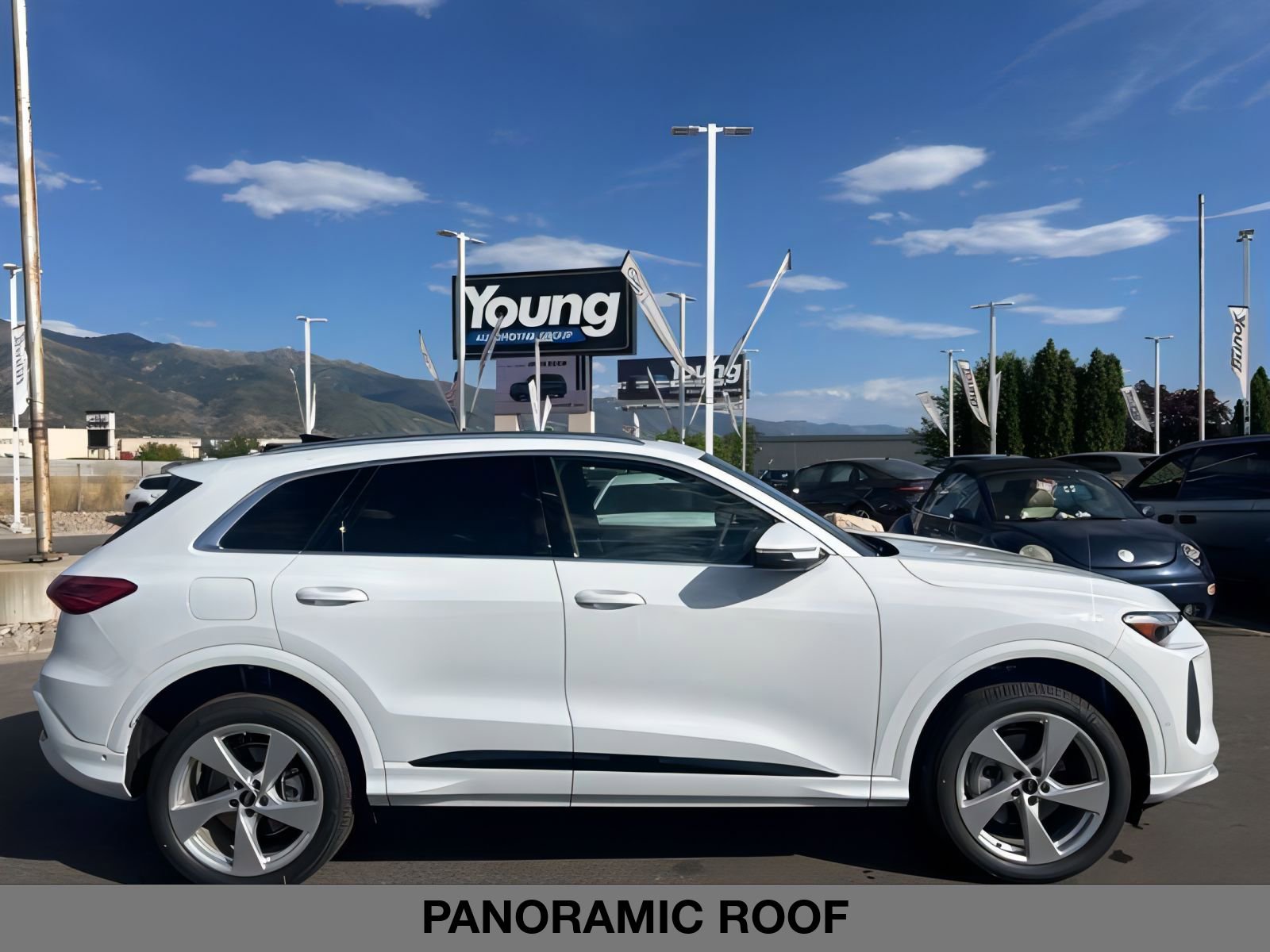 2025 Audi Q5 Premium Plus TFSI photo 3