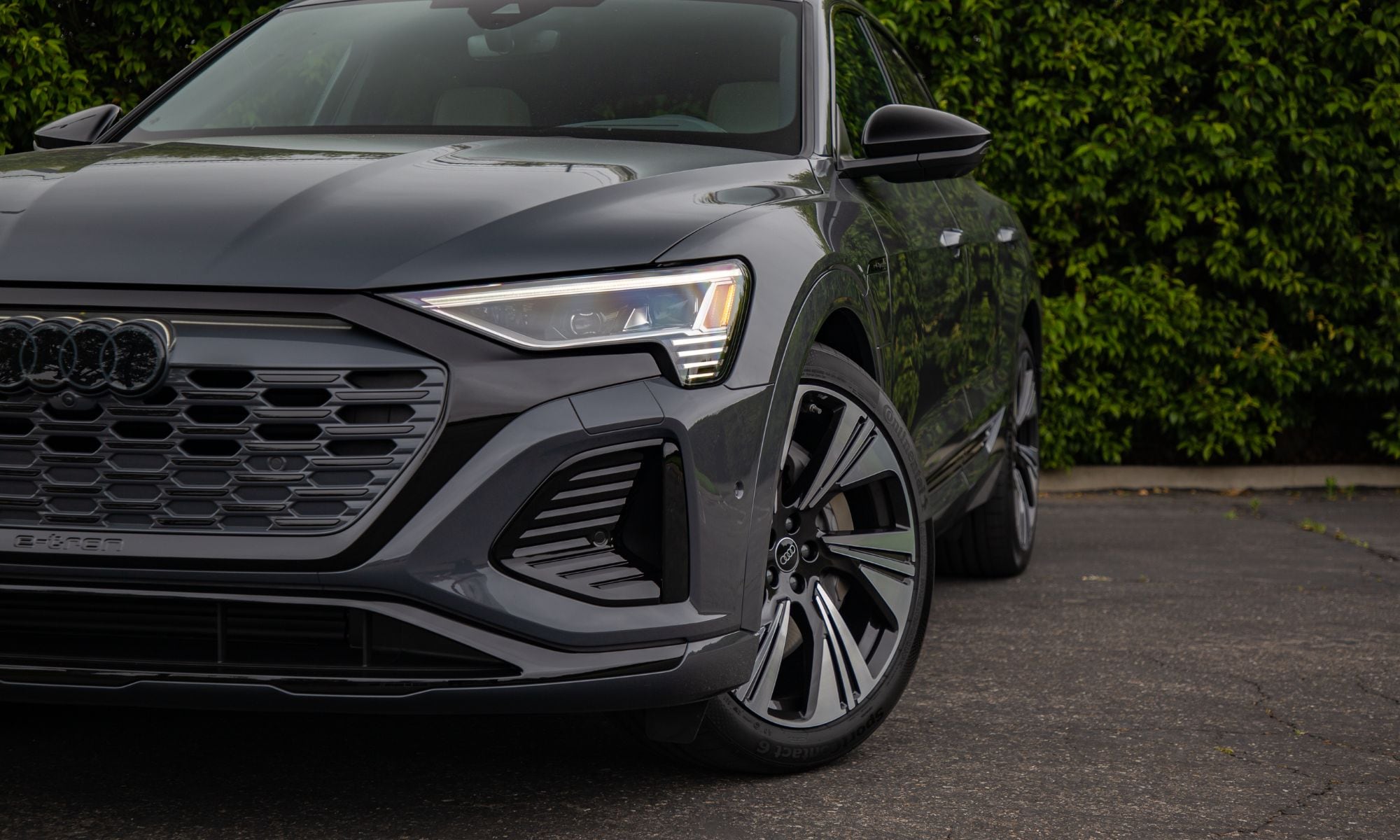 Coachella Audi Electric blog.jpg