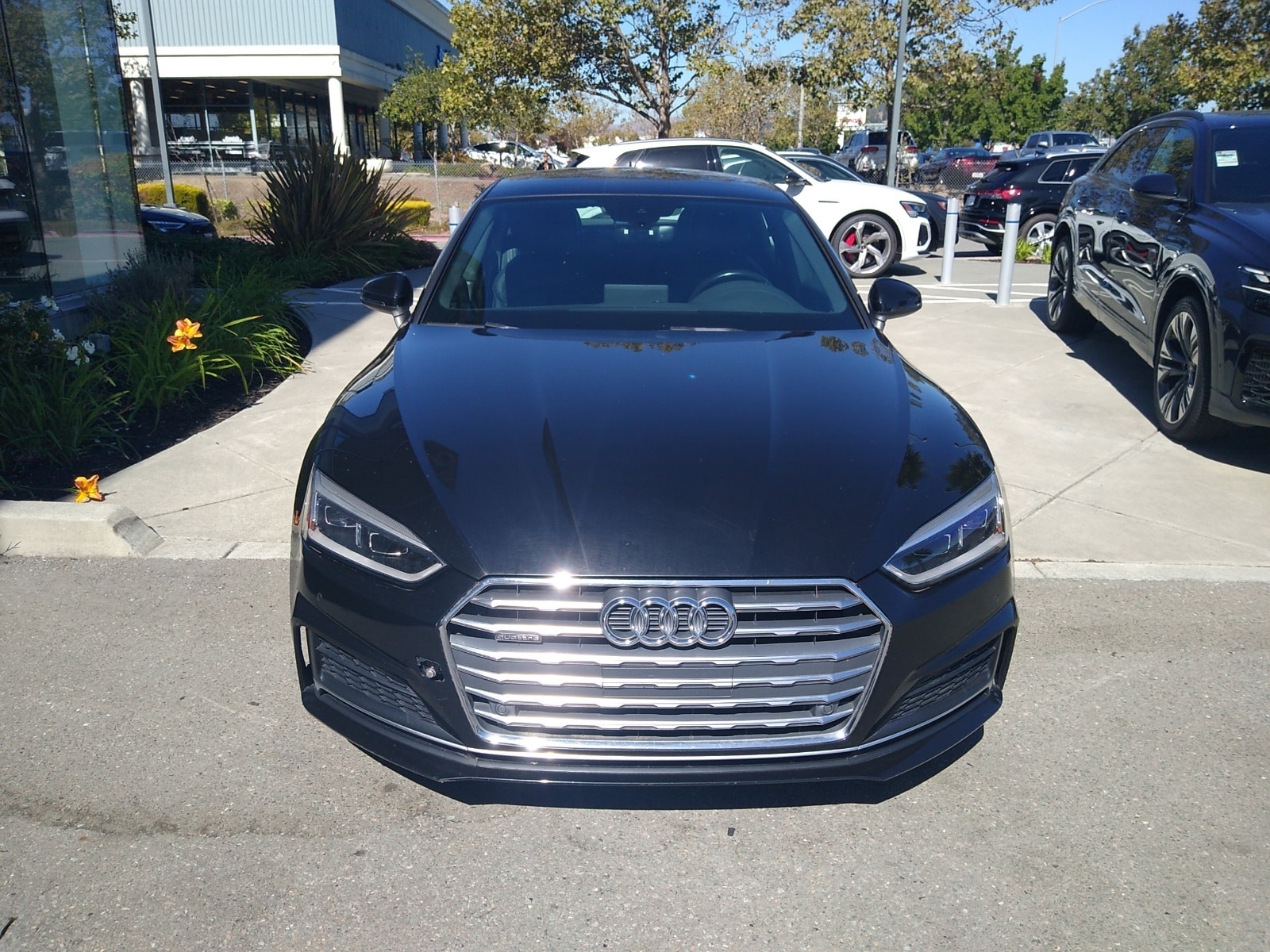 Used 2018 Audi A5 Sportback Premium Plus with VIN WAUENCF52JA007990 for sale in San Rafael, CA