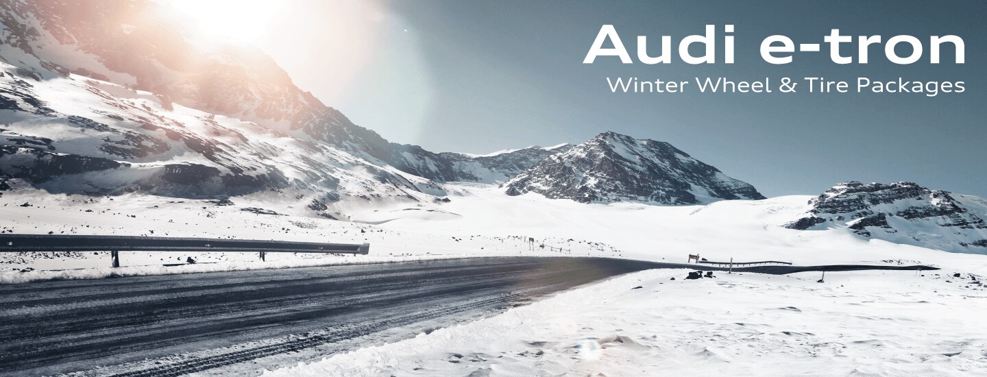 Audi Q4 e-tron Winter Tire Packages | Audi Midtown Toronto Audi Q4 e-tron Winter Tire Packages | Audi Midtown Toronto