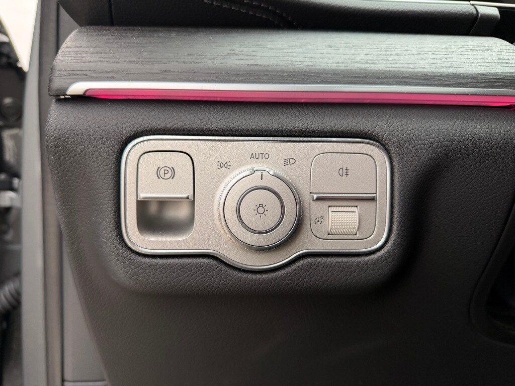 2025 Mercedes-Benz GLS Base - Photo 25
