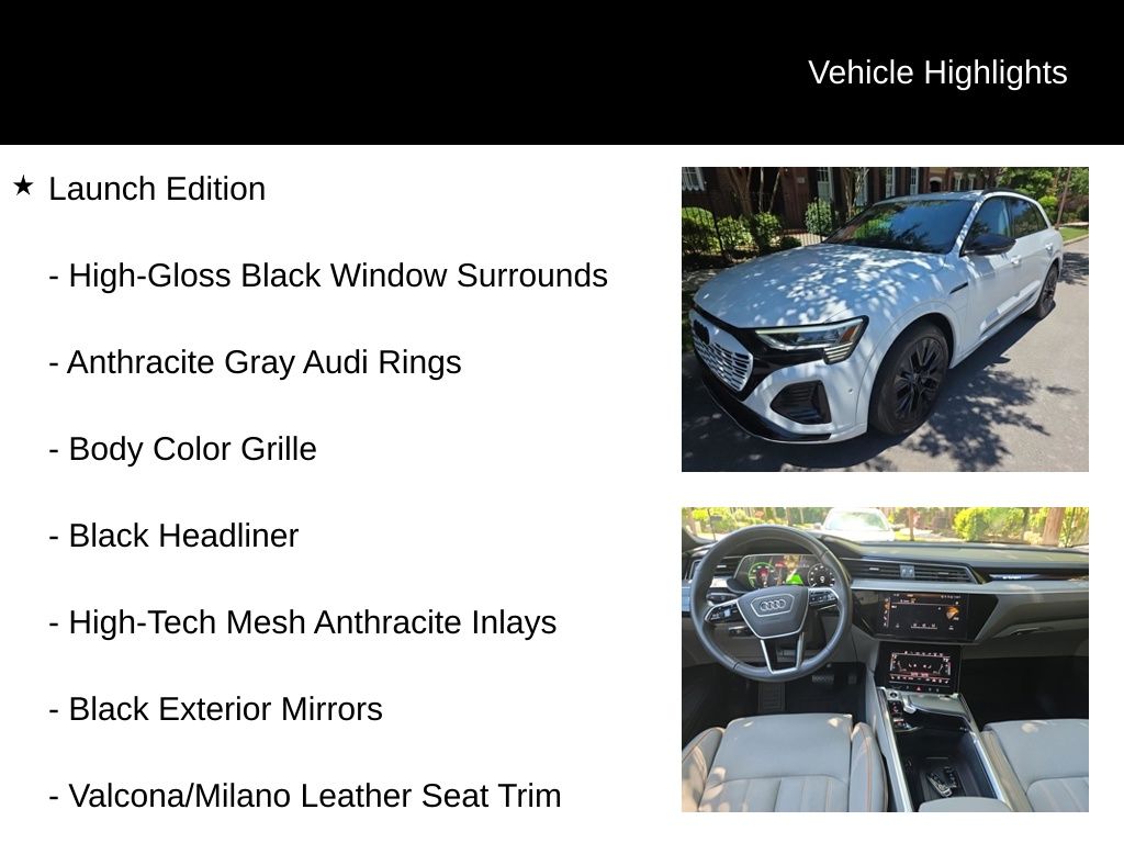 Thumbnail: 2024 Audi Q8 e-tron - 16