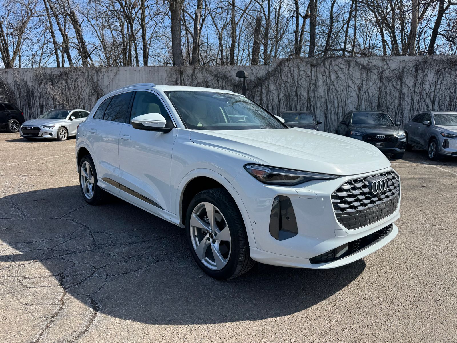 Thumbnail: 2025 Audi Q5 - 3