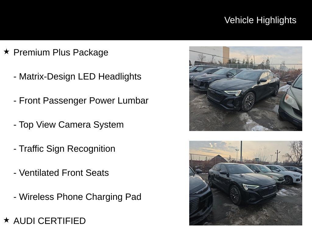 Thumbnail: 2024 Audi Q8 e-tron - 16