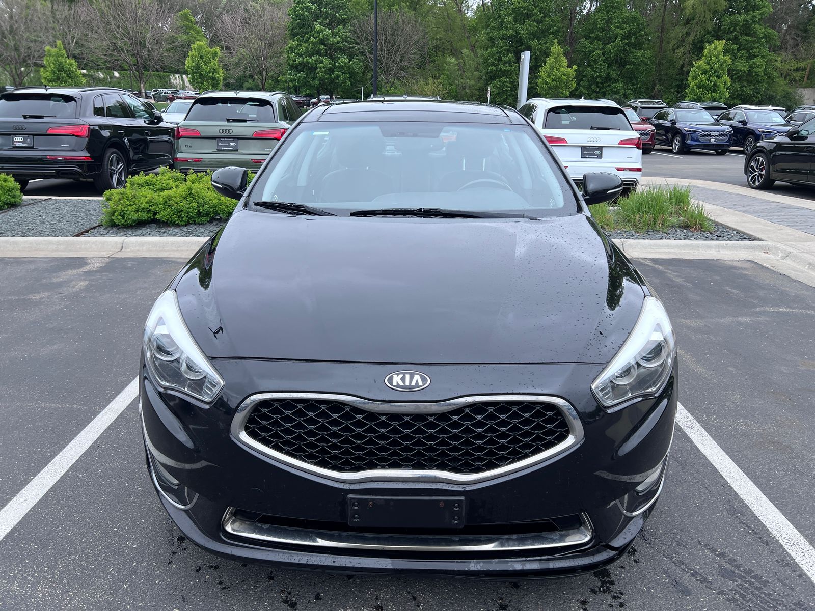 Thumbnail: 2014 Kia Cadenza - 3