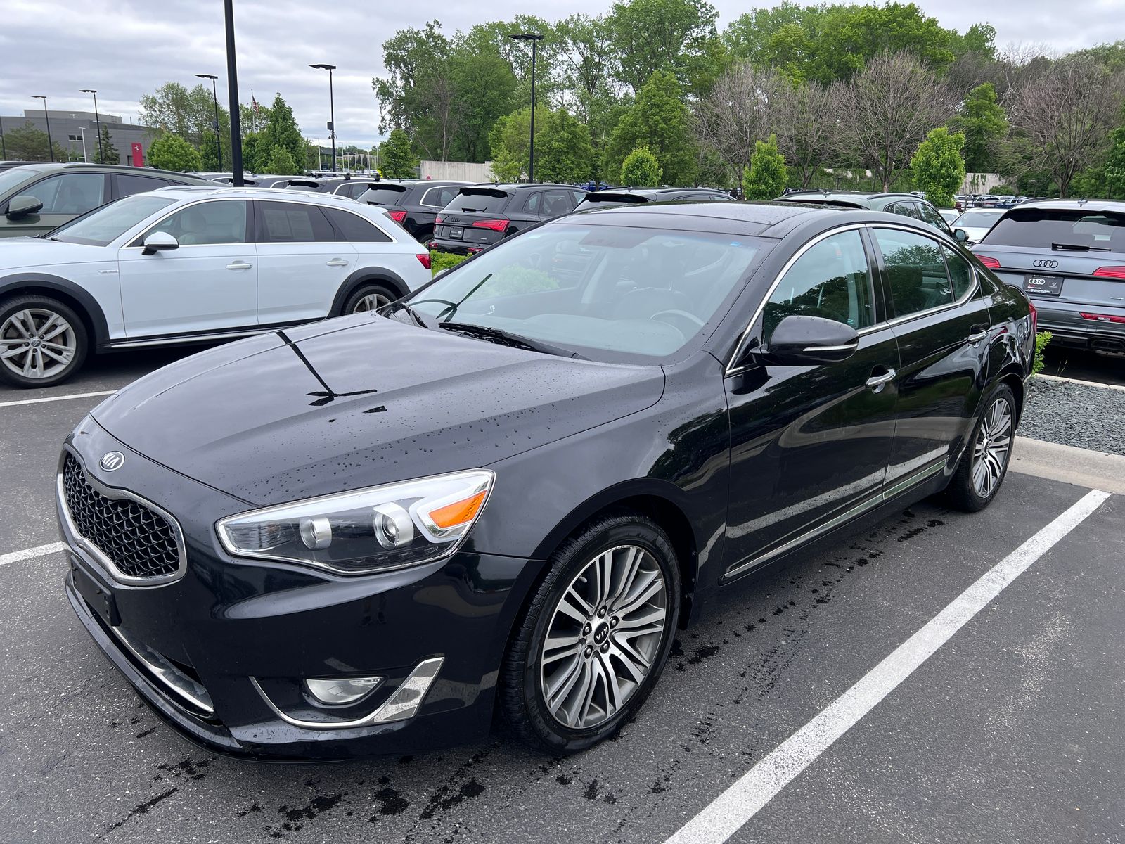 2014 Kia Cadenza Premium -
                  Golden Valley, MN