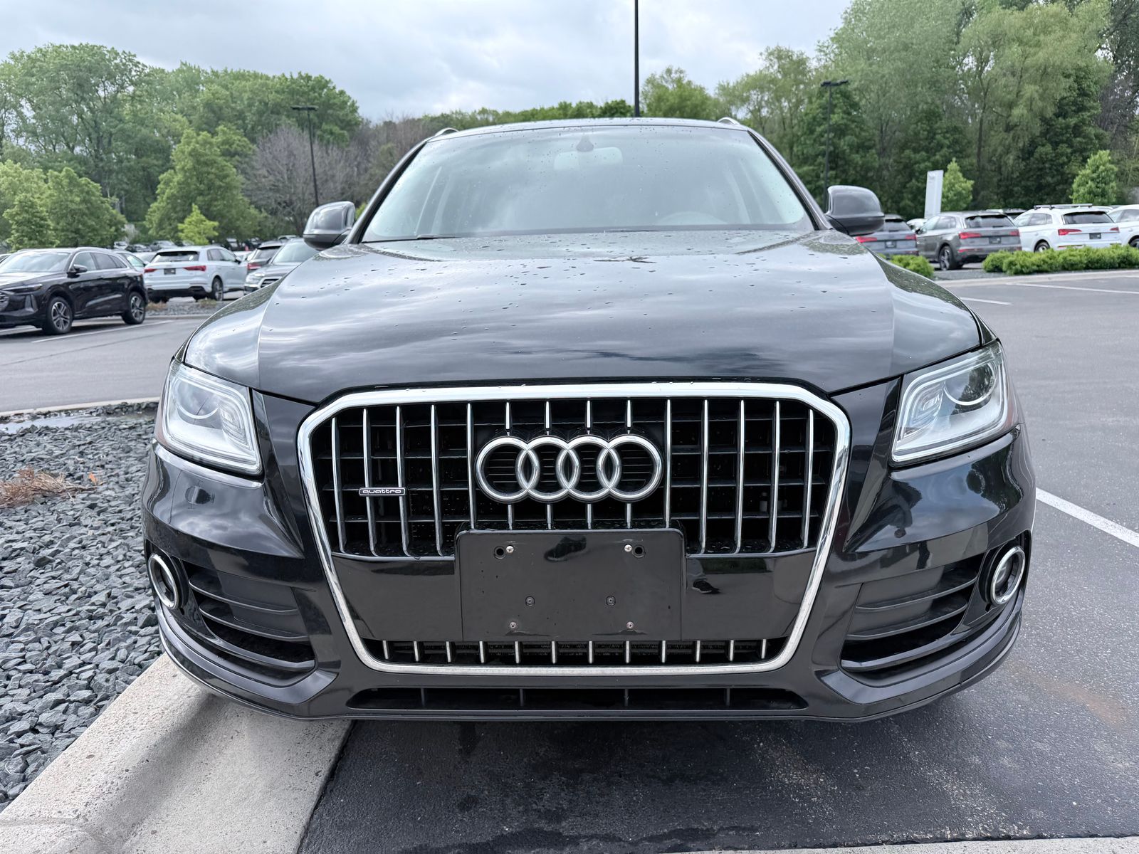 Thumbnail: 2014 Audi Q5 - 2