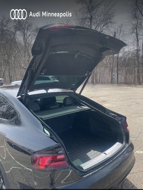 Thumbnail: 2018 Audi S5 - 16