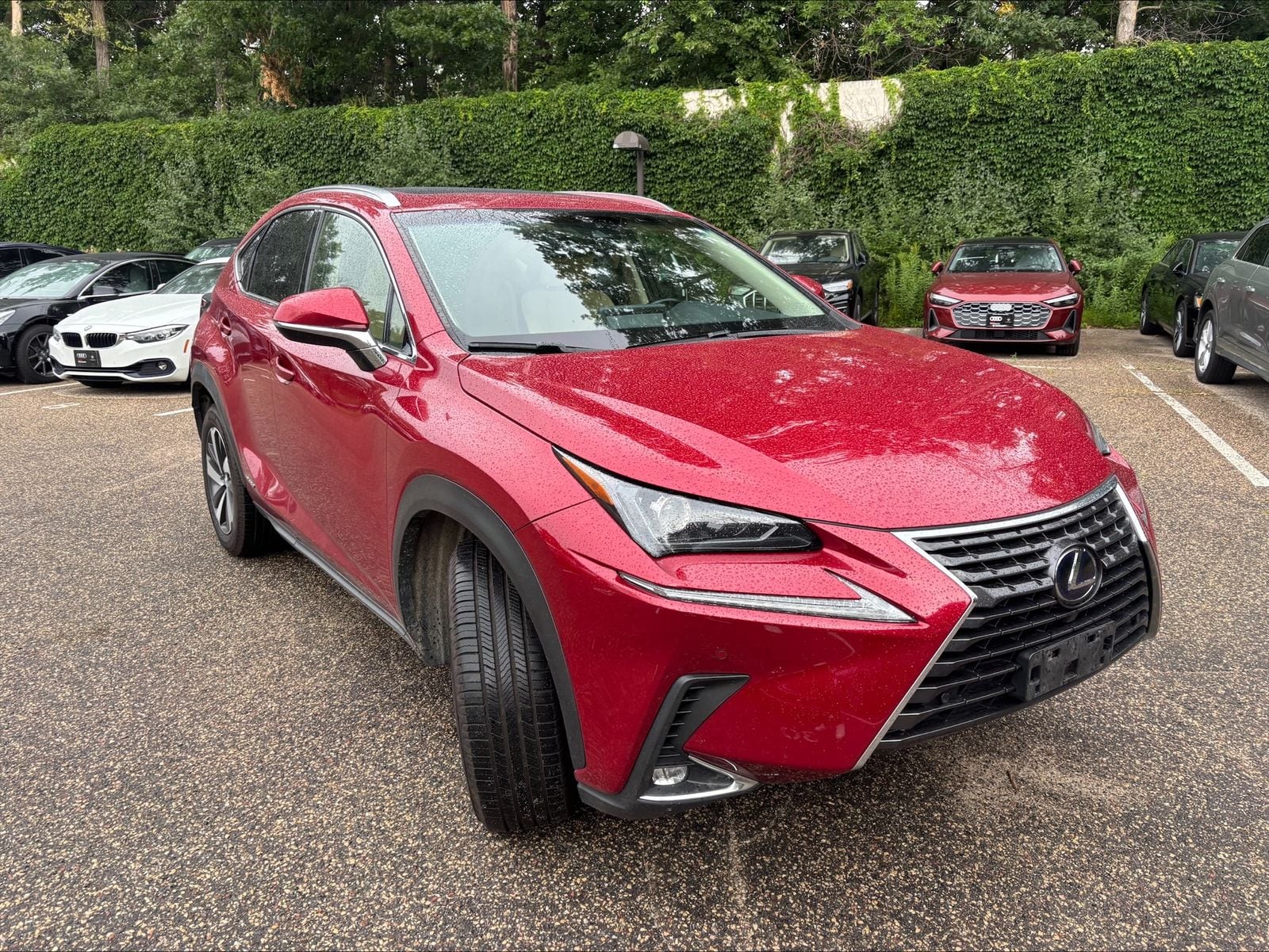 Thumbnail: 2018 Lexus NX - 1