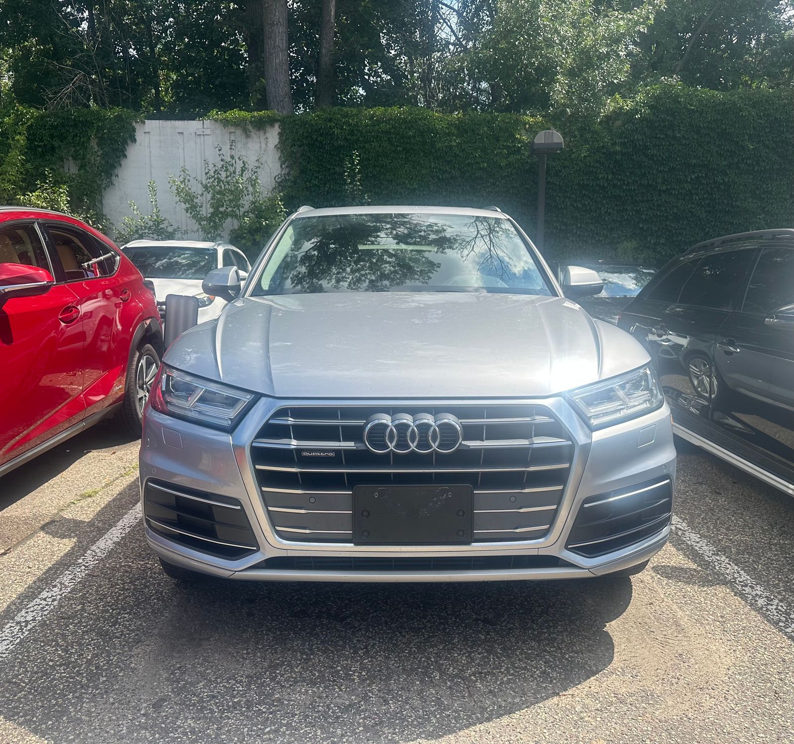 Thumbnail: 2019 Audi Q5 - 4