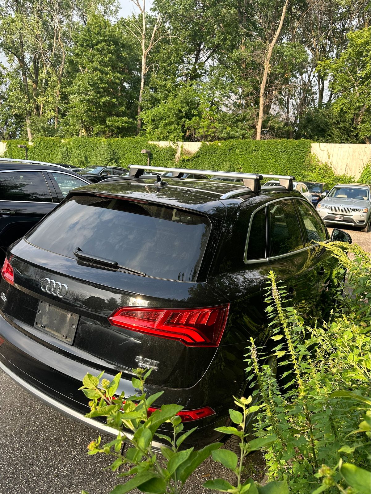 Thumbnail: 2018 Audi Q5 - 5