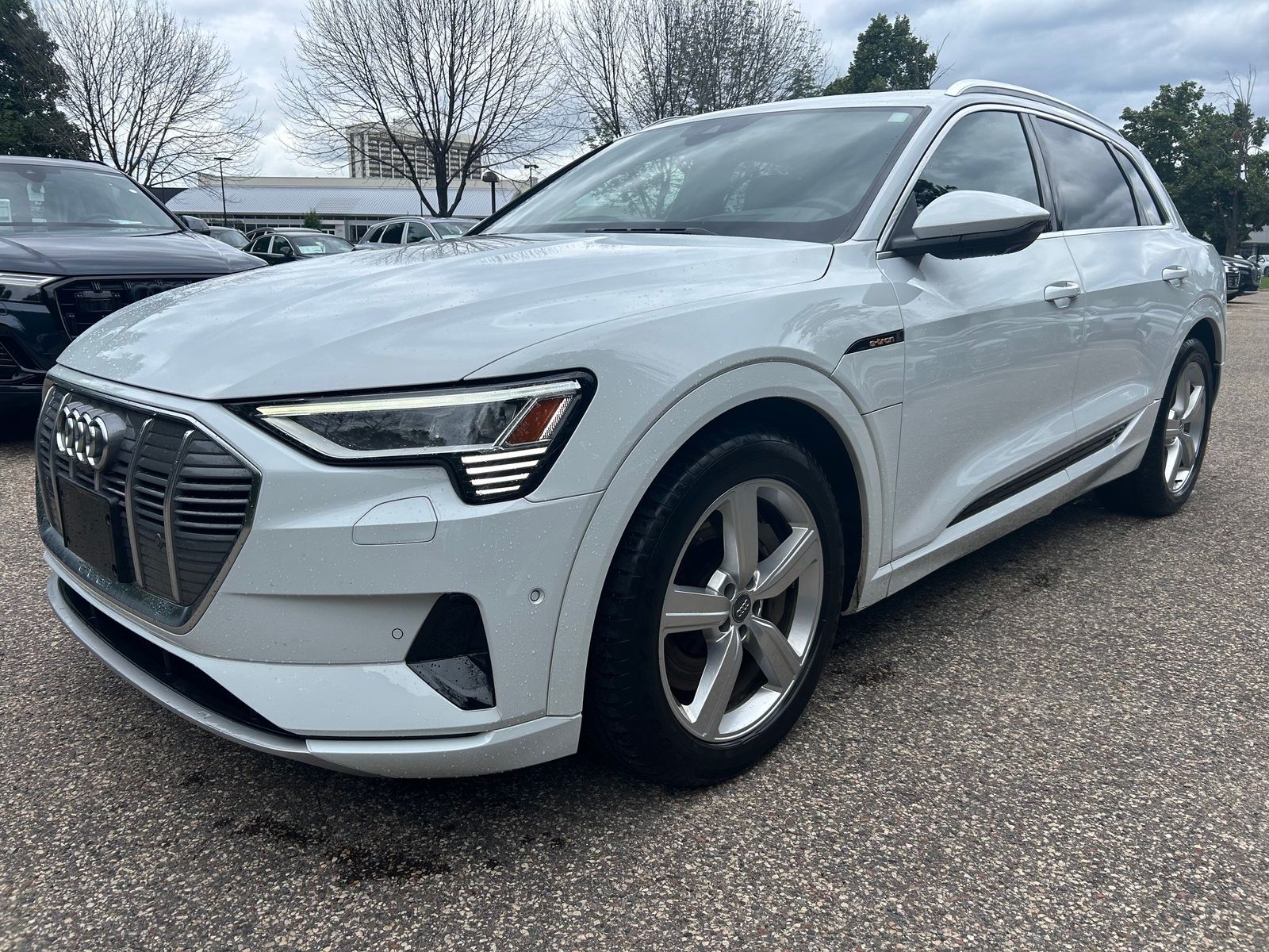 Thumbnail: 2019 Audi e-tron - 1