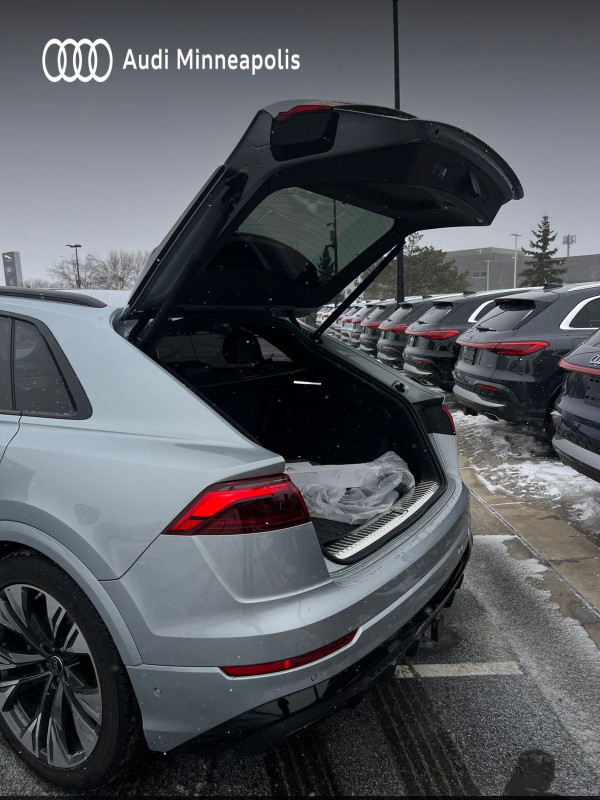 Thumbnail: 2025 Audi Q8 - 22