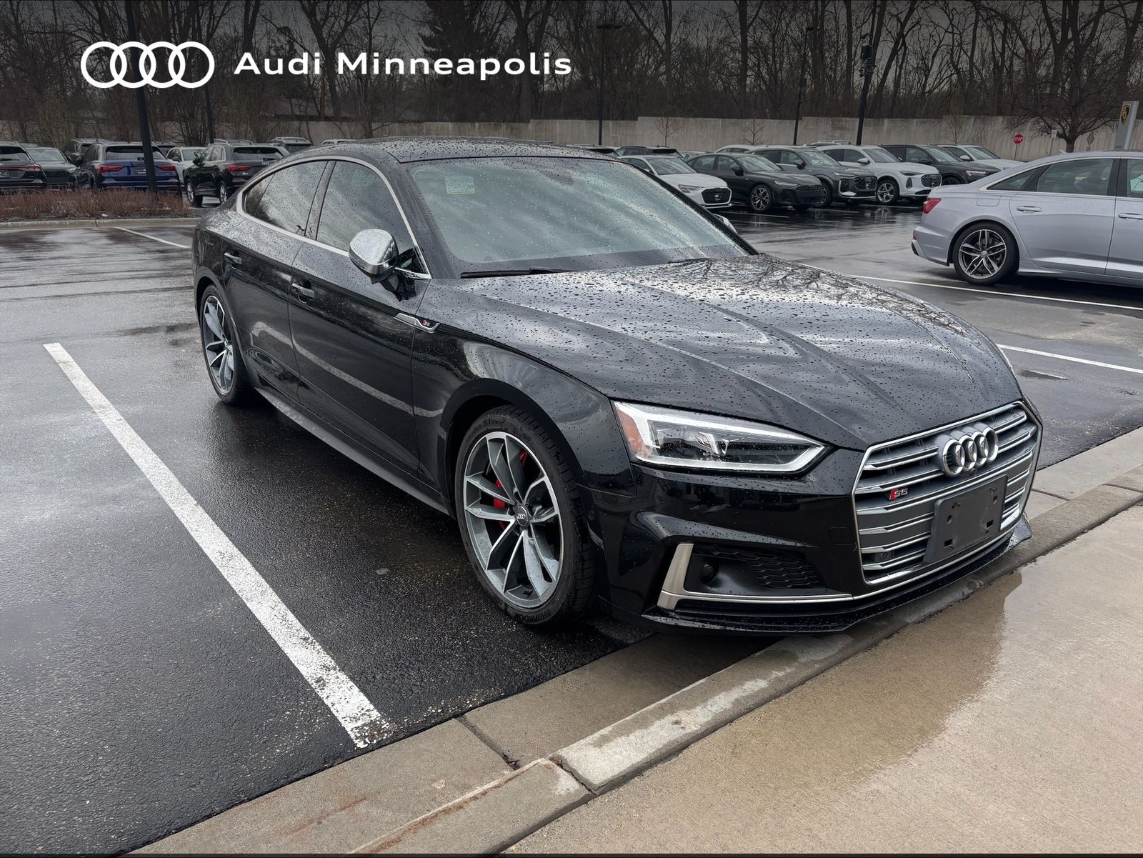 Thumbnail: 2019 Audi S5 - 4