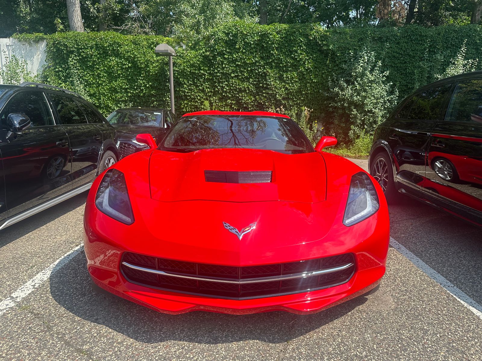 Thumbnail: 2019 Chevrolet Corvette - 3