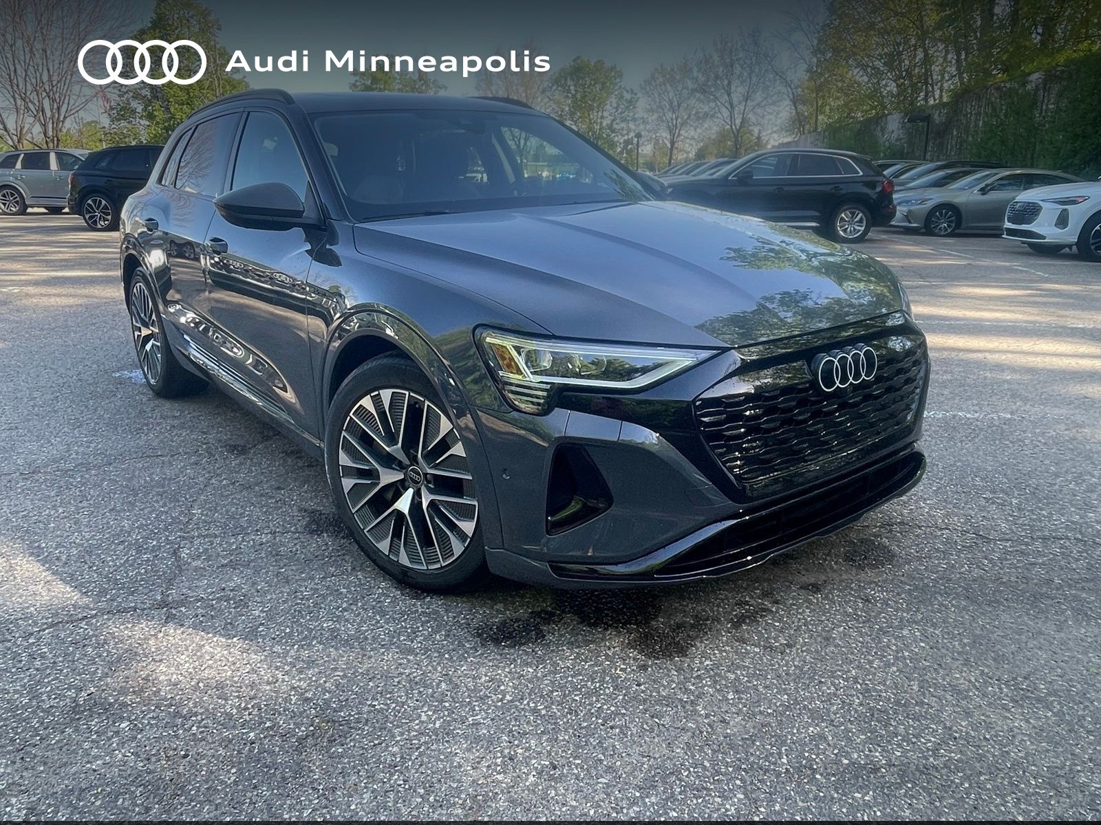 Thumbnail: 2024 Audi Q8 e-tron - 13