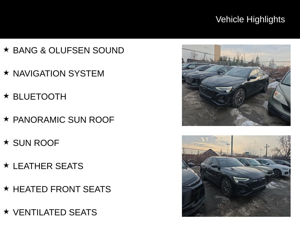 Thumbnail: 2024 Audi Q8 e-tron - 18