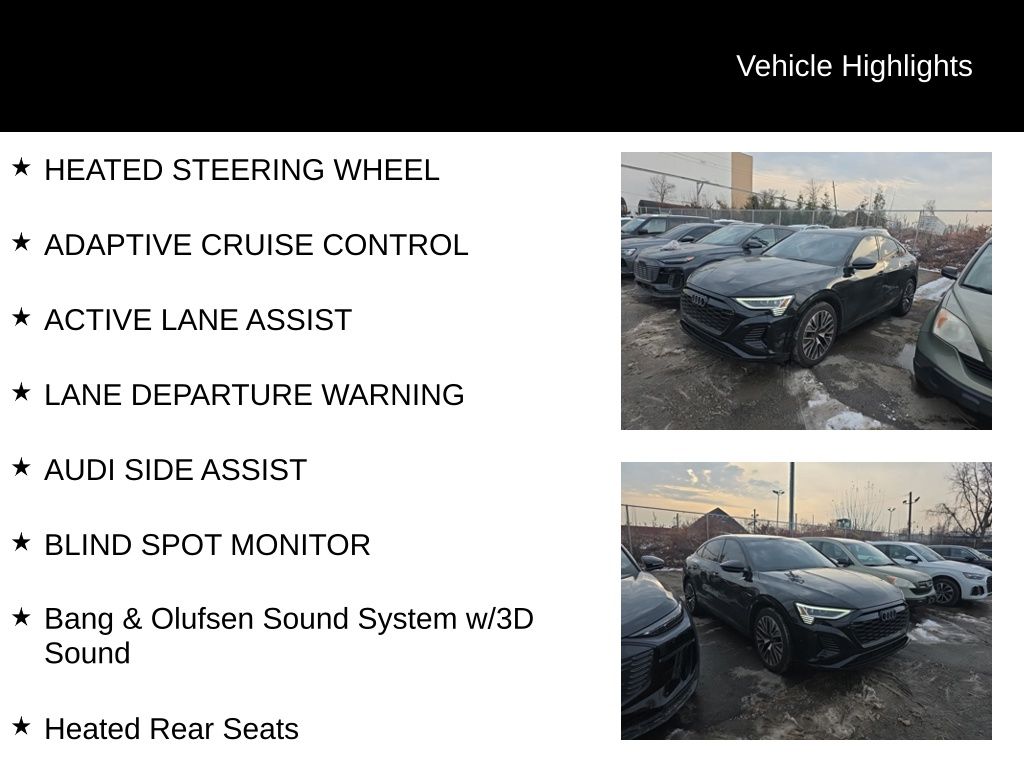 Thumbnail: 2024 Audi Q8 e-tron - 19