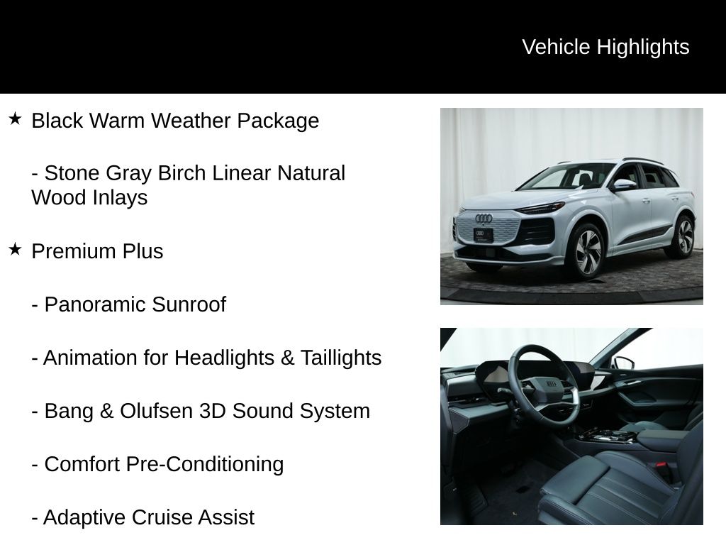 Thumbnail: 2025 Audi Q6 e-tron - 15