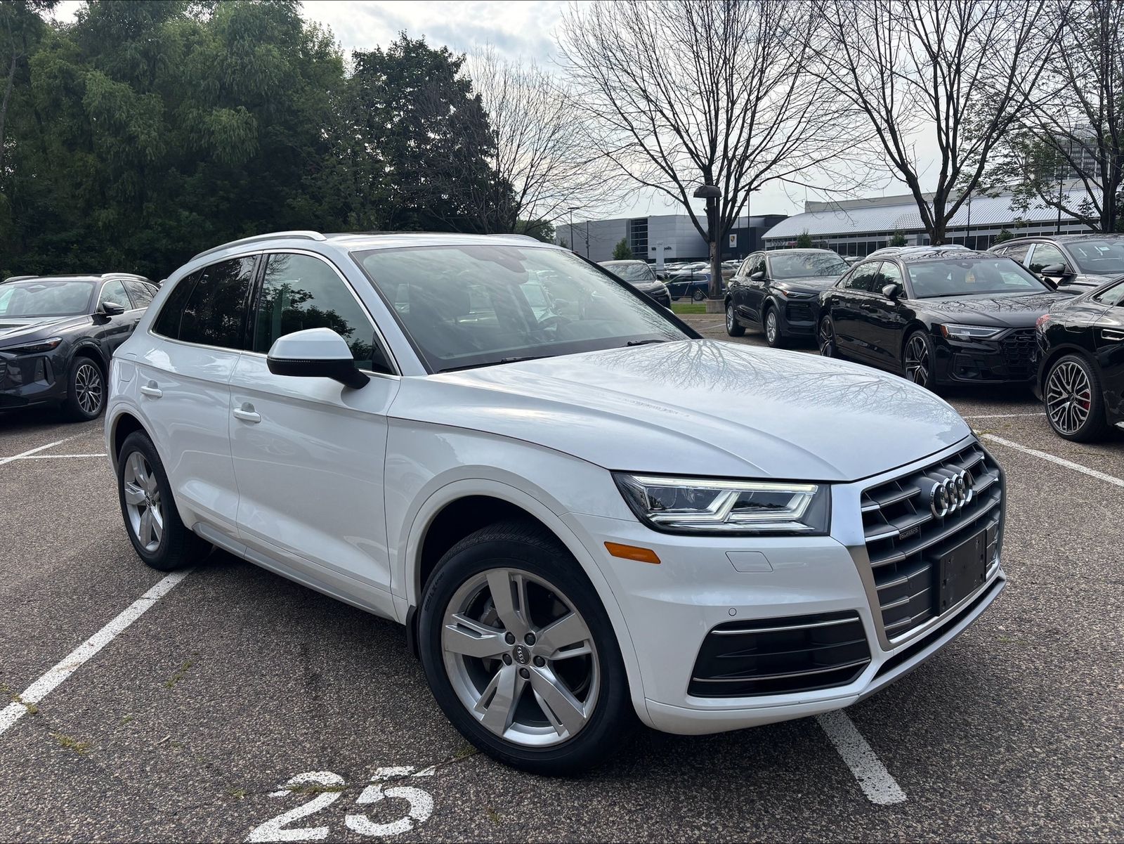 Thumbnail: 2019 Audi Q5 - 1