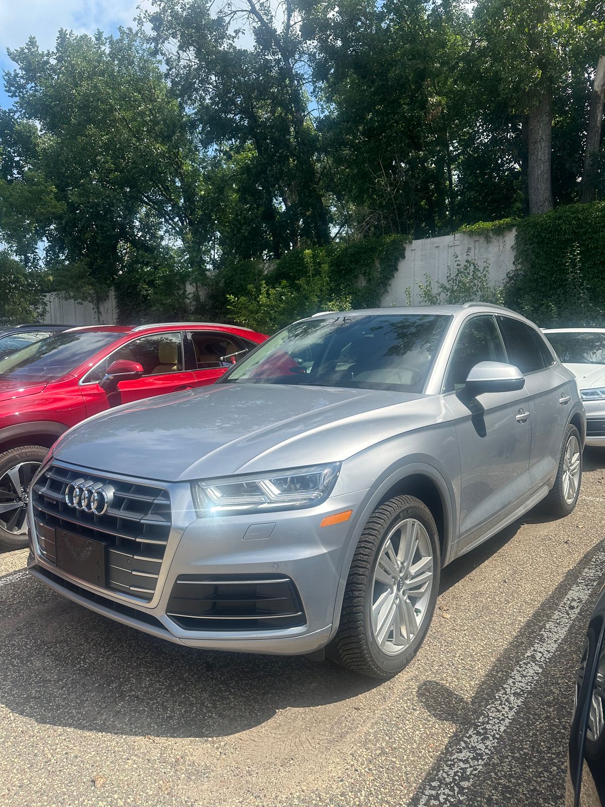 Thumbnail: 2019 Audi Q5 - 1