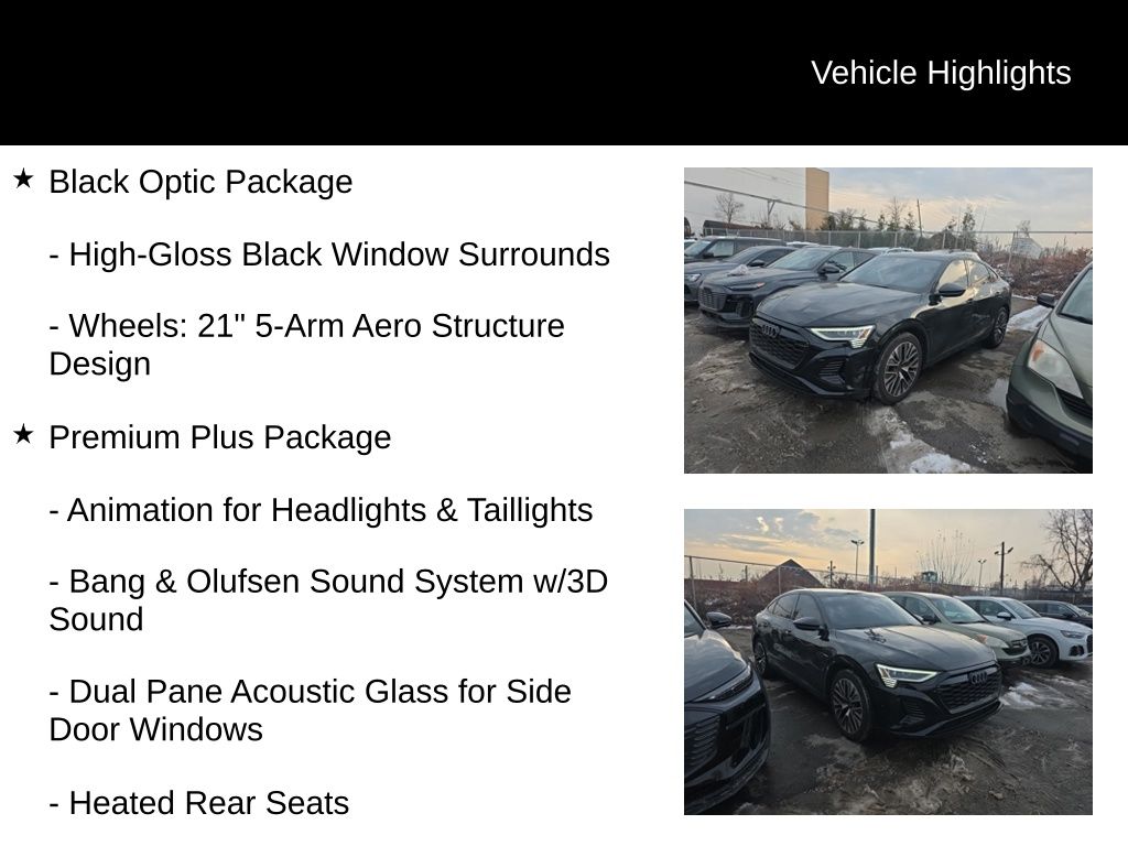 Thumbnail: 2024 Audi Q8 e-tron - 15