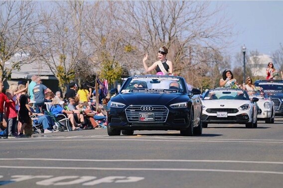 Almond Blossom Festival Audi Modesto