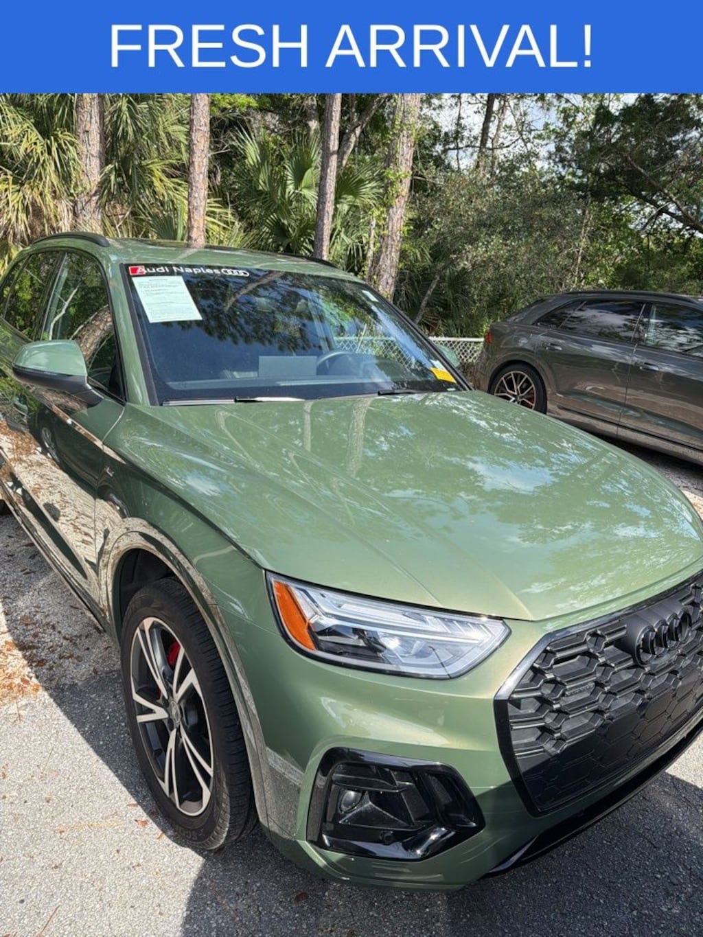 Certified 2025 Audi Q5 45 S Line Premium Plus SUV