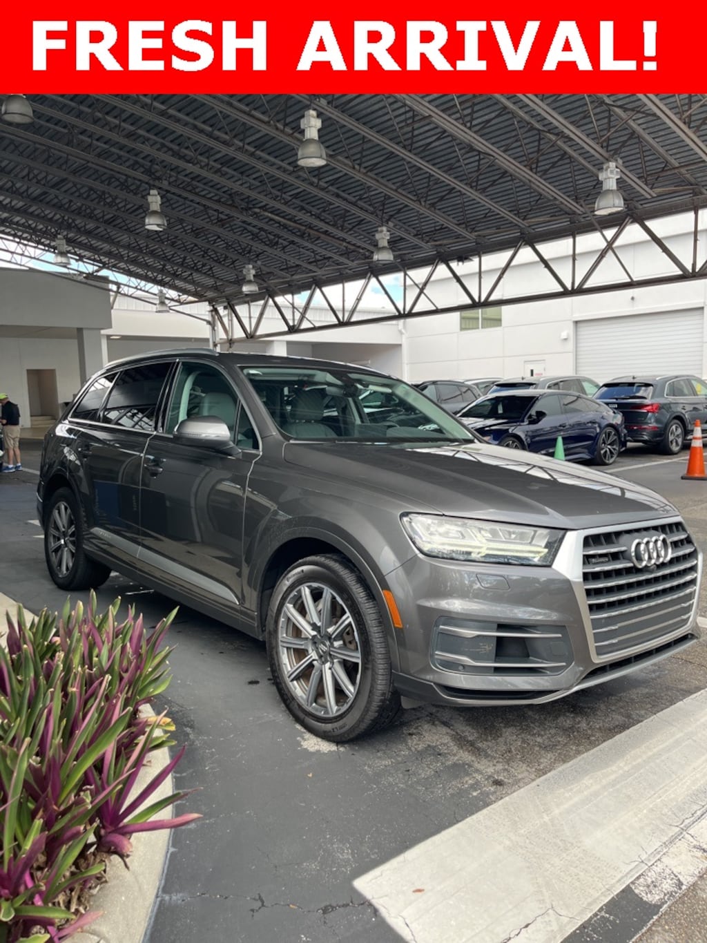 Used 2019 Audi Q7 55 Premium Plus SUV