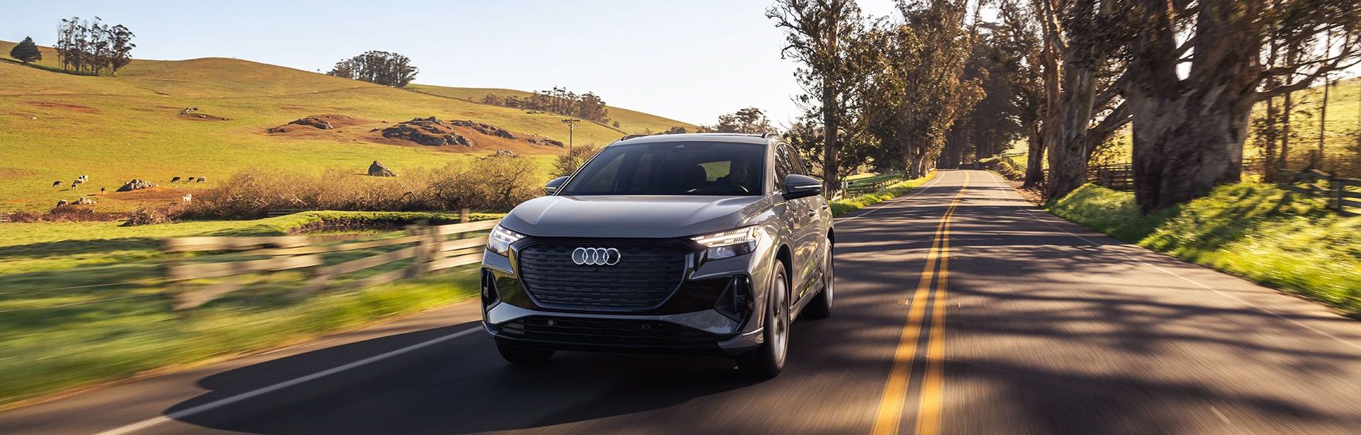 Audi North Austin