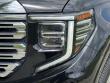 2023 GMC Sierra 1500 Denali Pickup