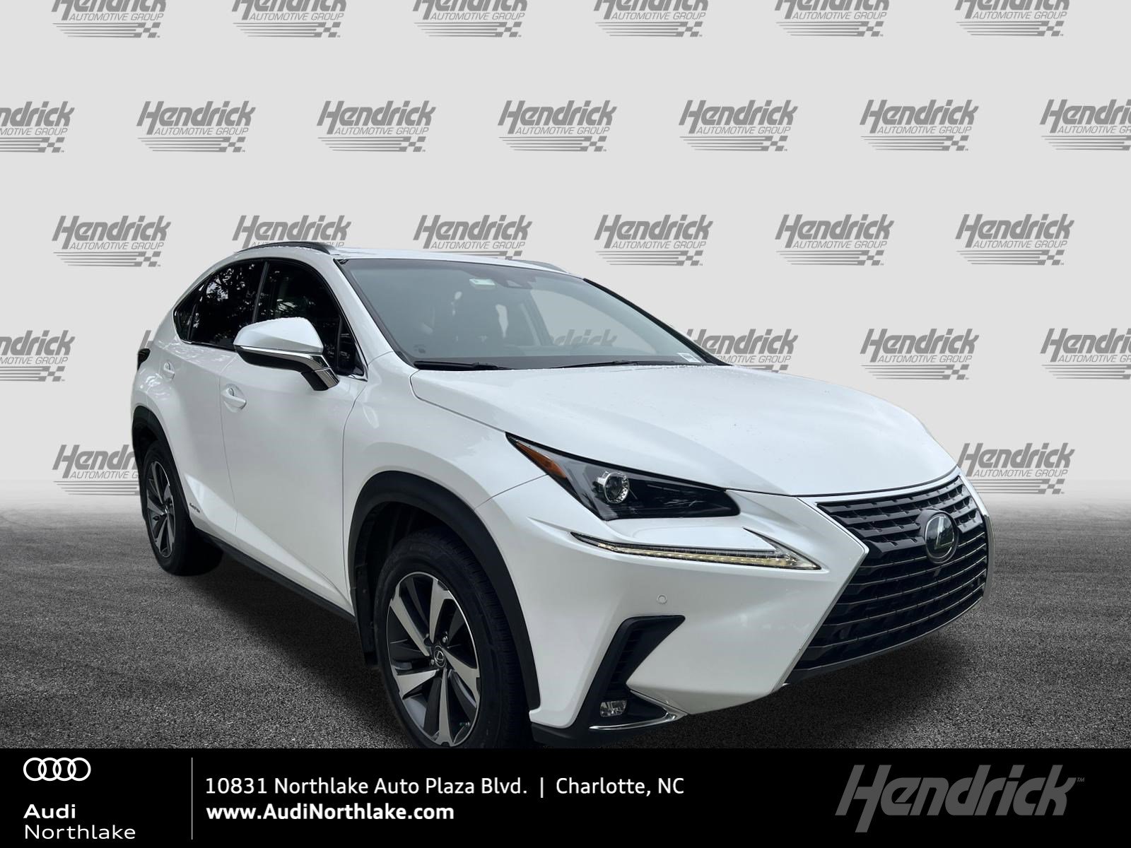 2019 Lexus NX 350h 300h AWD's photo