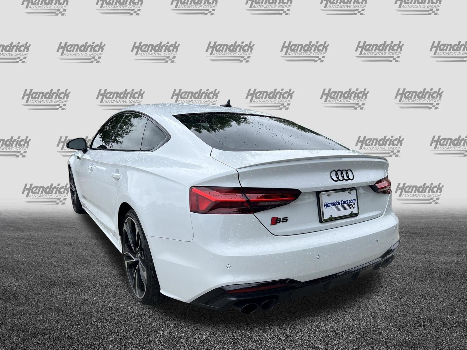2023 Audi S5 Sportback Premium Plus photo 3
